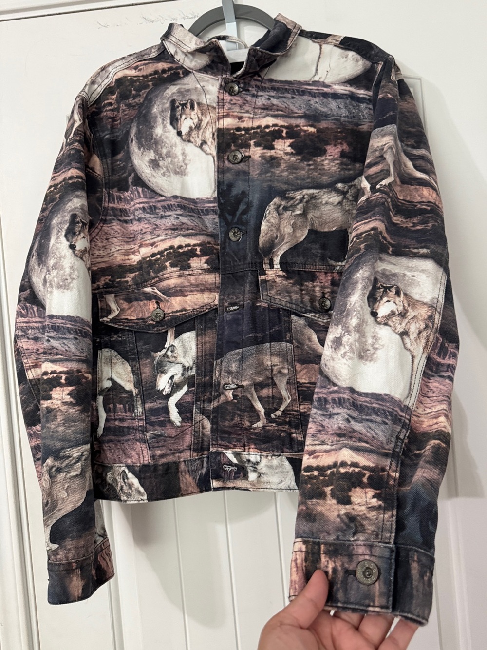 BDG Wolf Durham Denim Jacket
